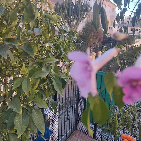 Apartment Punta Prima Getaway