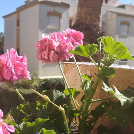 Punta Prima Getaway Торевьиа
